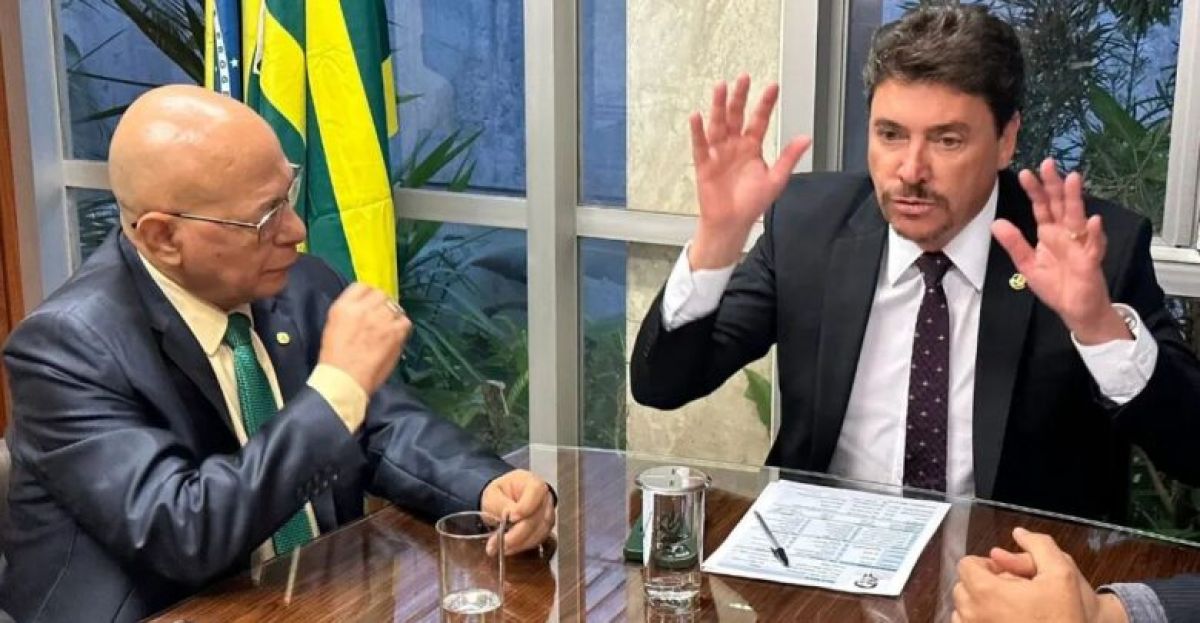Wilder Morais e Professor Alcides seriam sócios em um avião