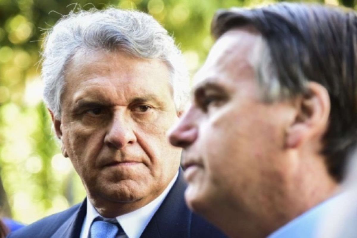 Existe vida inteligente na direita fora de Bolsonaro