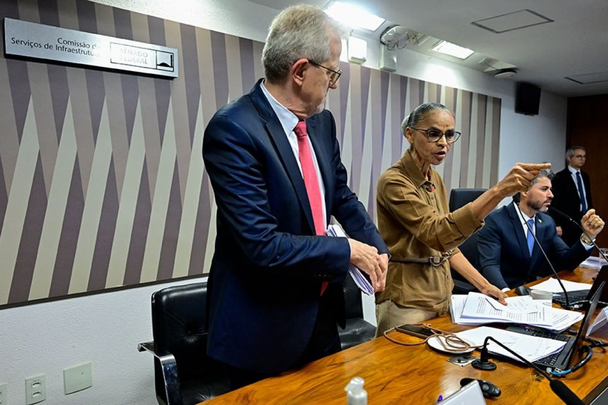 “A boiada avança”, diz Cileide Alves ao comentar ataques a Marina Silva no Senado
