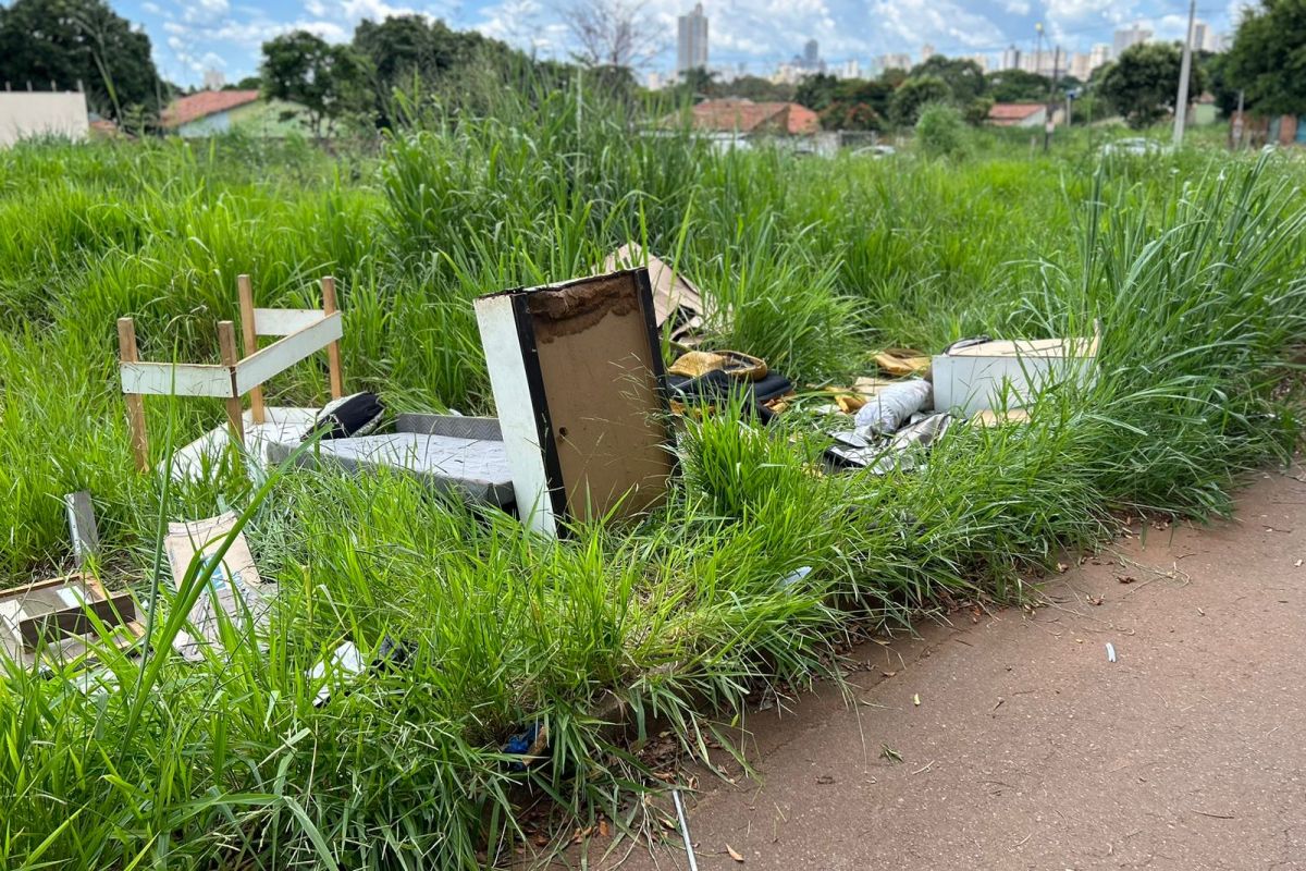 Moradores do Jardim Marques Abreu, em Goiânia, reclamam de mato alto