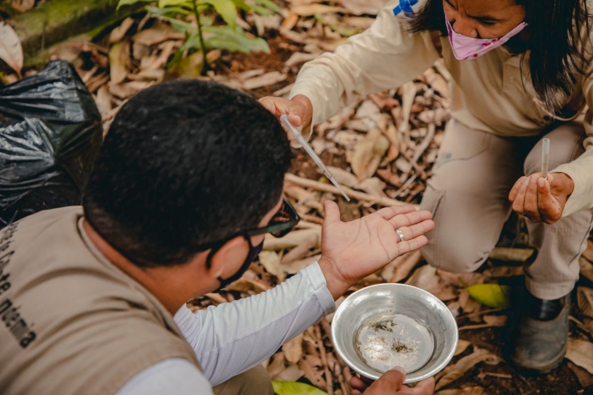 Anápolis registra terceira maior incidência de dengue em Goiás em 2025