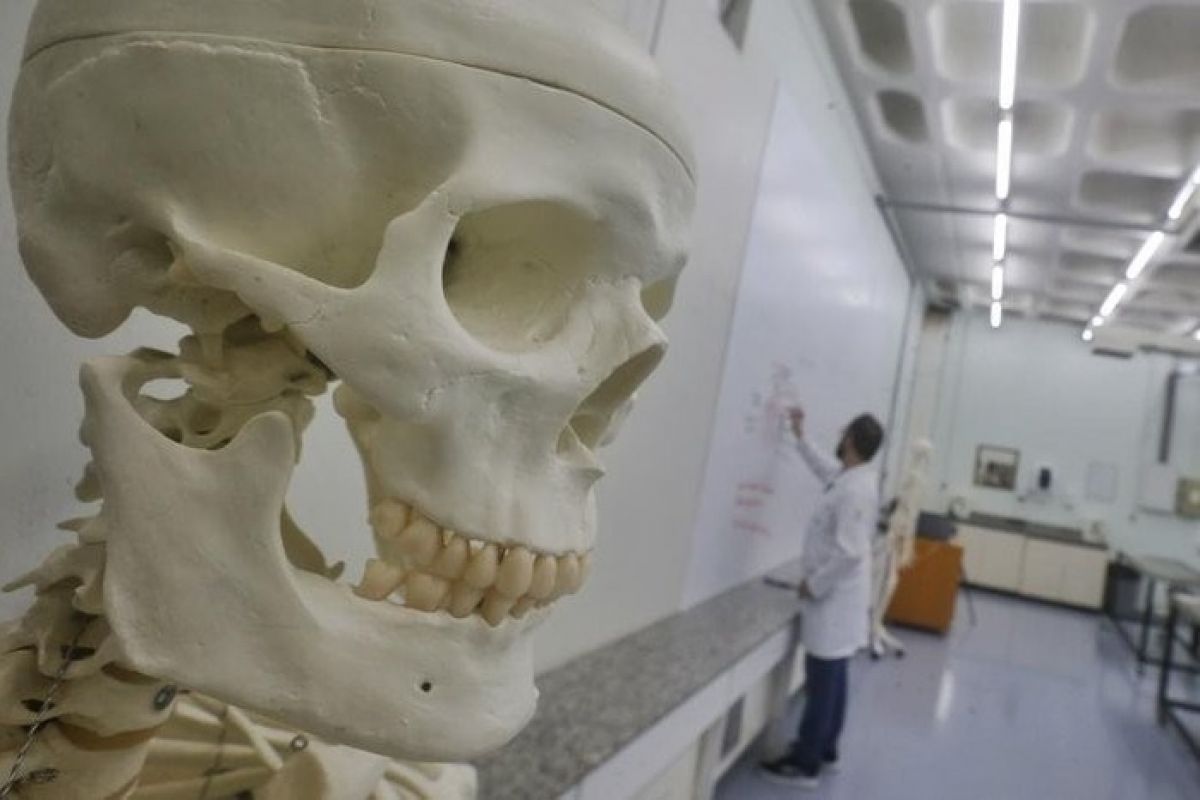 Goiás conta com 12 faculdades particulares que oferecem Medicina; confira valores das mensalidades