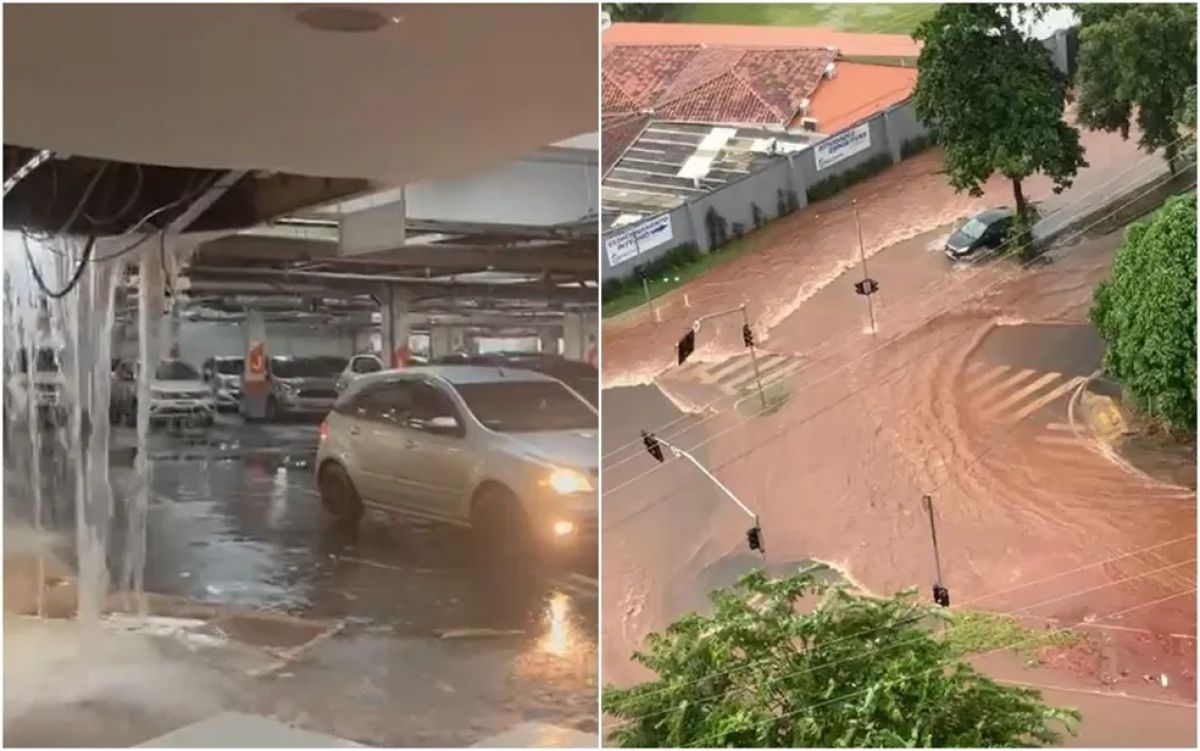  Chuva intensa e ventos de até 44 km/h causam estragos em Goiânia e deixam pessoas ilhadas