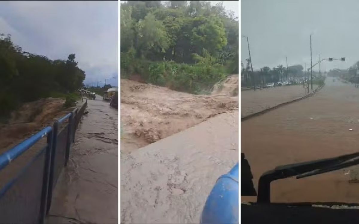 Goiânia registra transbordamento de córregos e quedas de árvores durante temporal