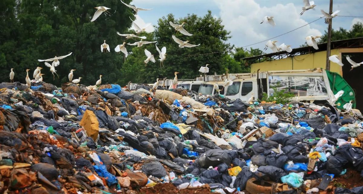 Caso de Polícia: Prefeitura de Goiânia cria lixão sem licença ambiental
