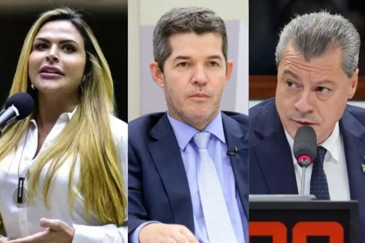 Veja quais pré-candidatos federais lideram pesquisa em Goiás