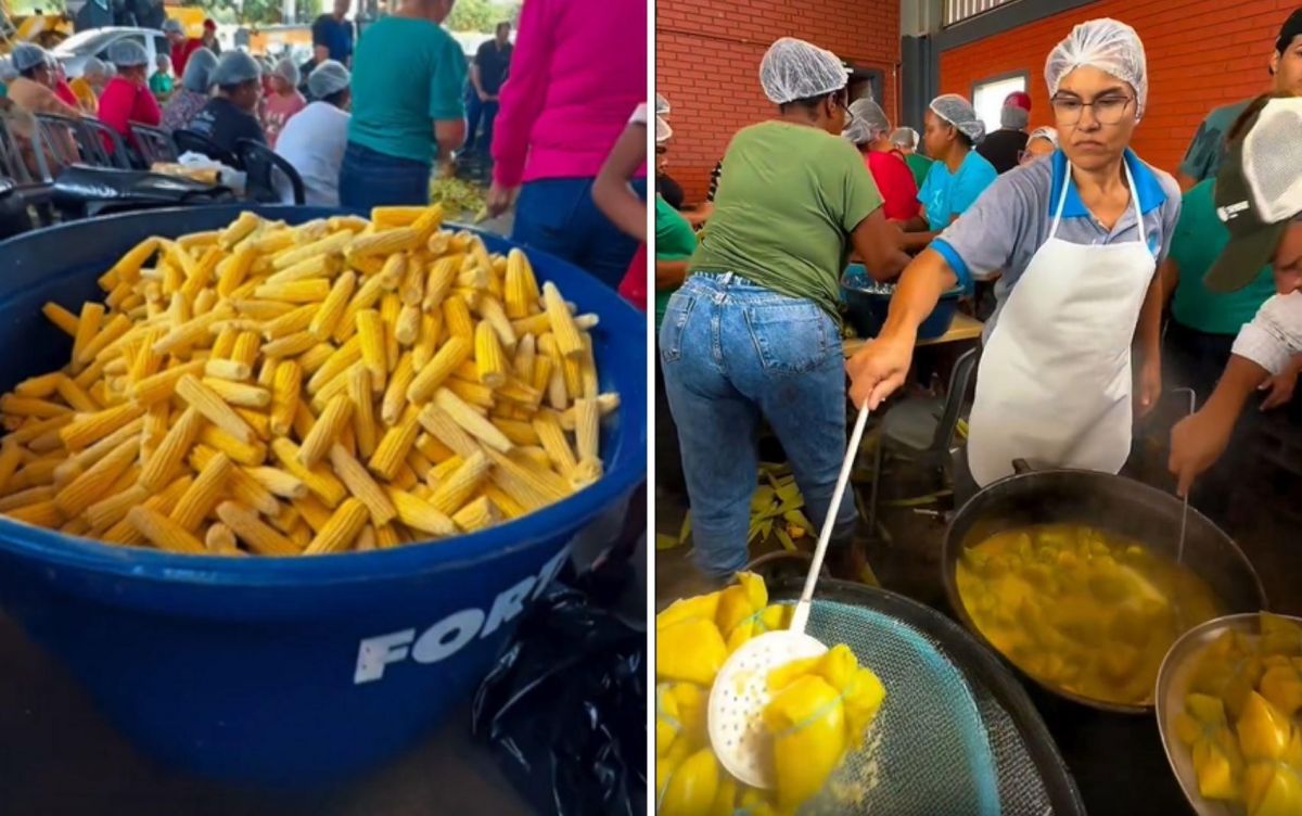 Prefeitura planta milho e faz pamonhada pra reduzir furtos em lavouras