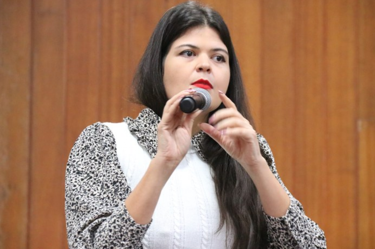 Vereadora aciona o TCM-GO por conta de alagamentos em Goiânia